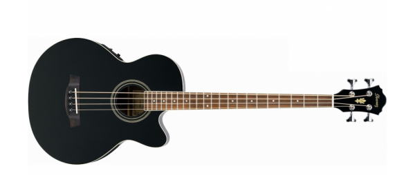 Ibanez AEB8E-BK