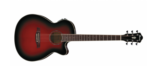 Ibanez AEG10II-TRS