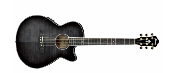 Ibanez AEG24II-TGB