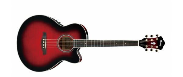 Ibanez AEL20E-TRS