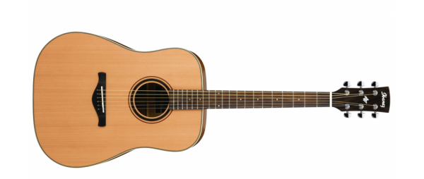 Ibanez AW250-LG