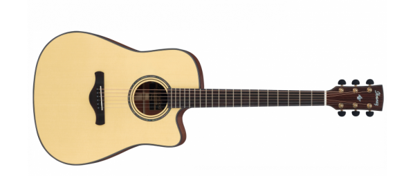 Ibanez AW3010CE-LG