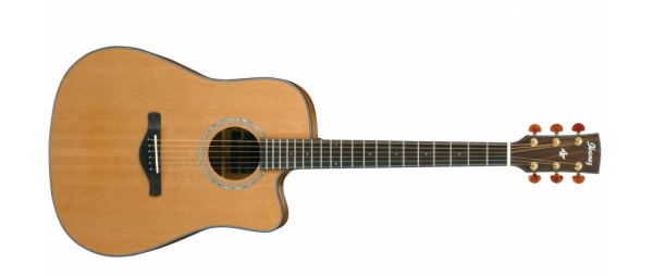Ibanez AW3050CE-LG