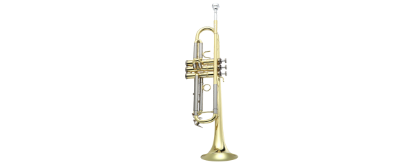 Antigua TR3580LQ VOSI Trąbka