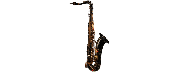 Antigua TS4240BG-GH WOODWIND SAKSOFON TENOROWY