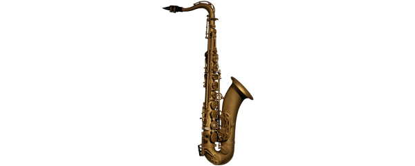 Antigua TS4240SB-GH WOODWIND SAKSOFON TENOROWY